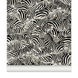 Papier peint Zebra coloris noir