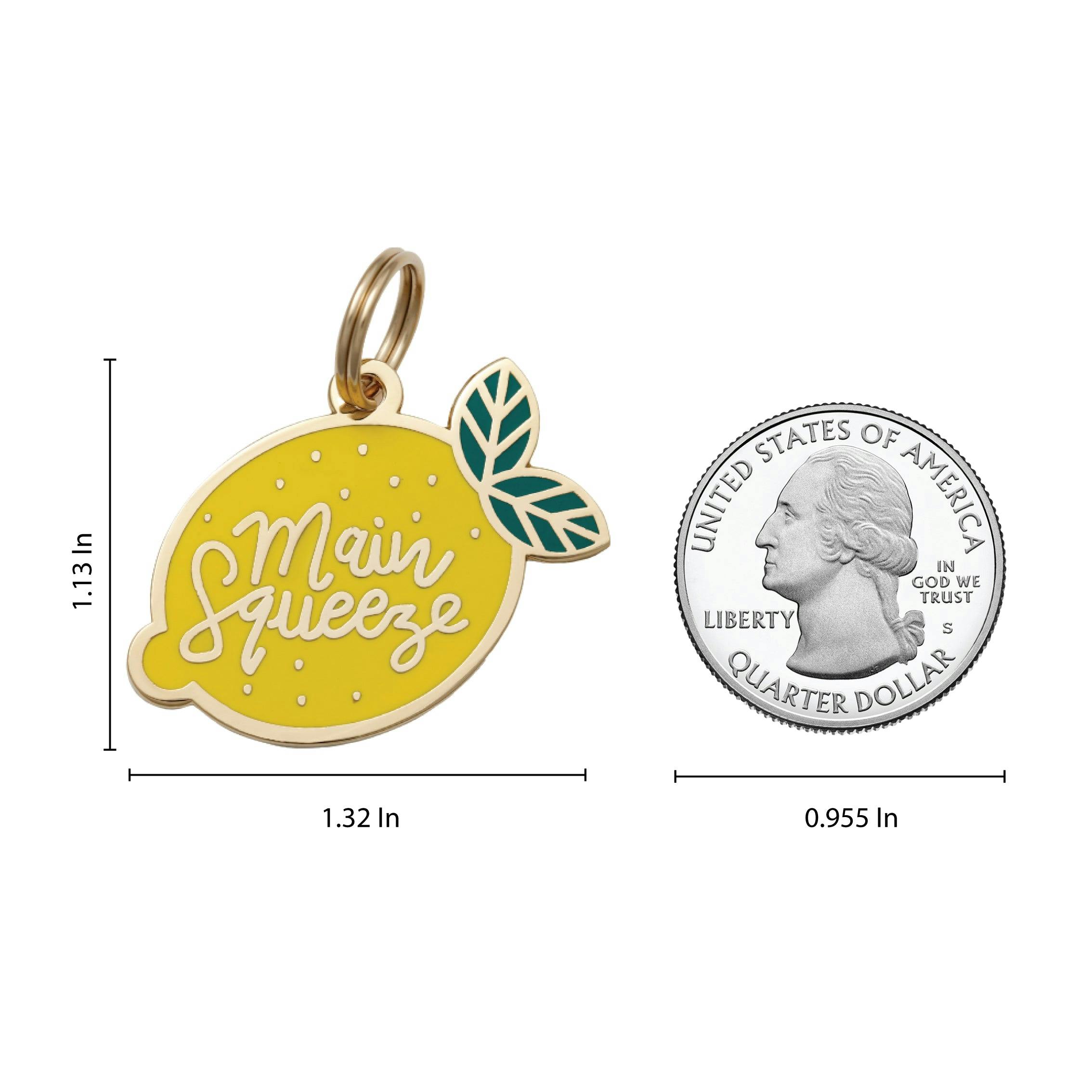 Main Squeeze Pet ID Tag