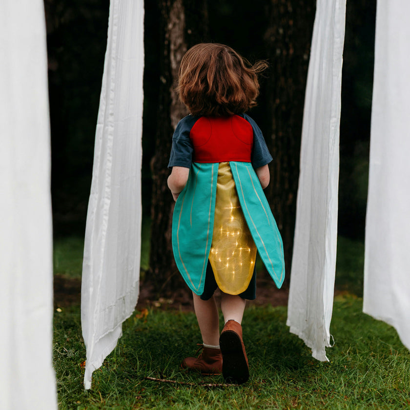 Firefly Costume Wings