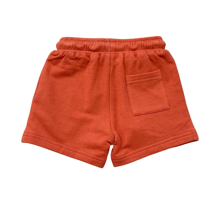 Boys Everyday Shorts in Red