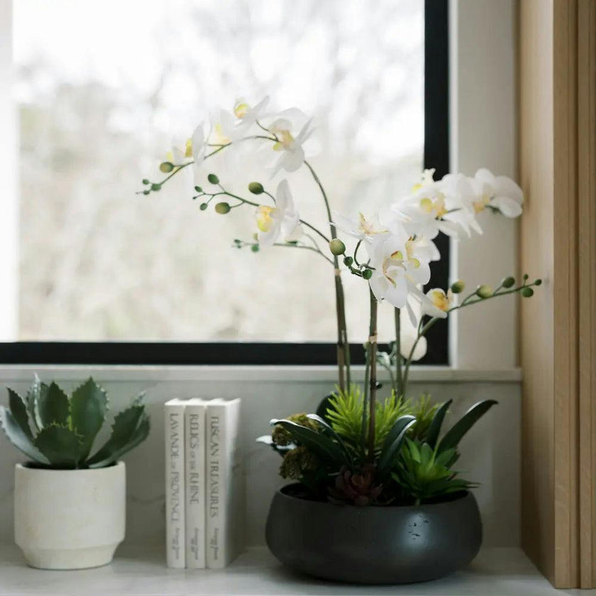 Artificial Orchid with Succulents