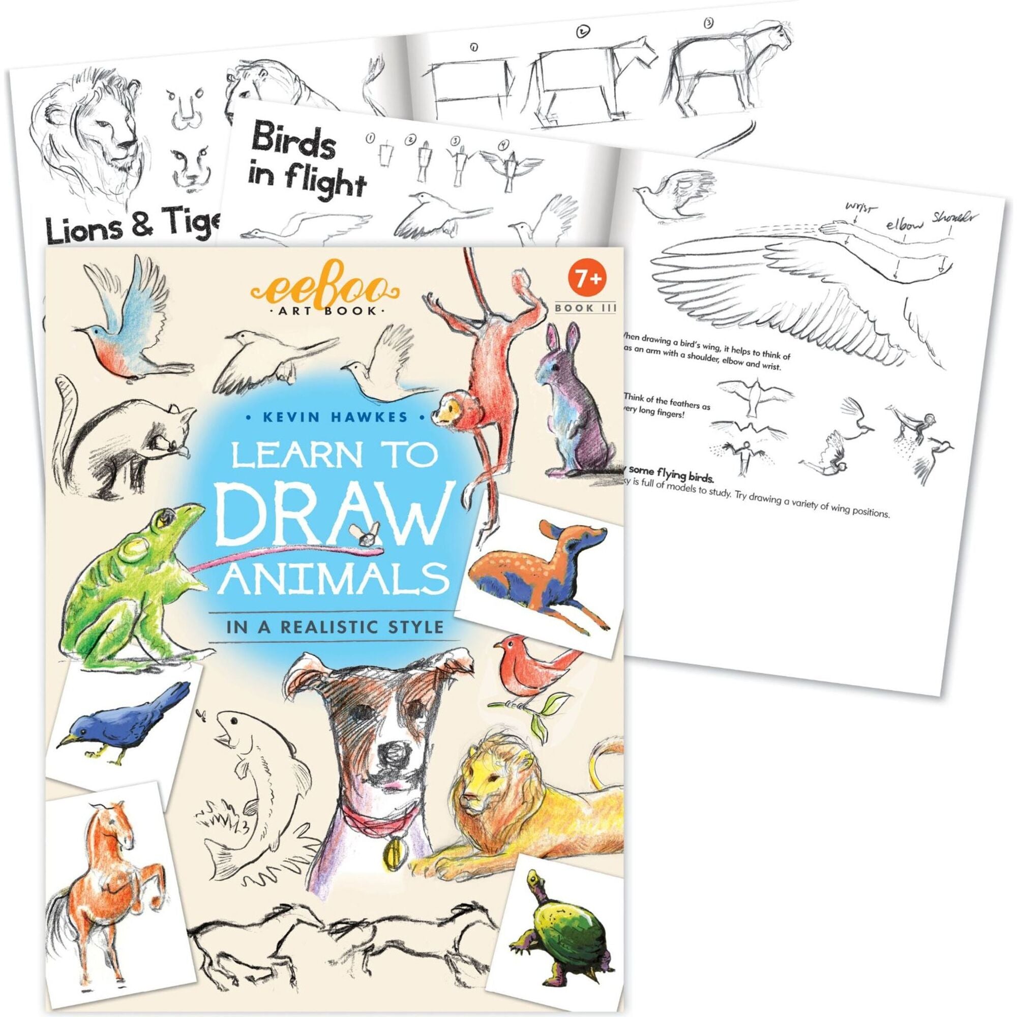 Art Book 3 - Learn to Draw Animals with Kevin Hawkes