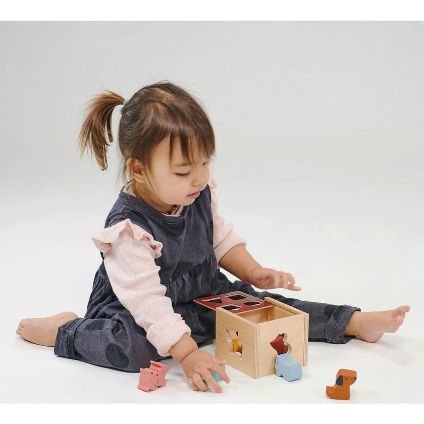 Bambino Shape Sorting Cube