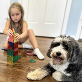 Crayola Bold & Bright Magnetic Tiles 40 Piece Set