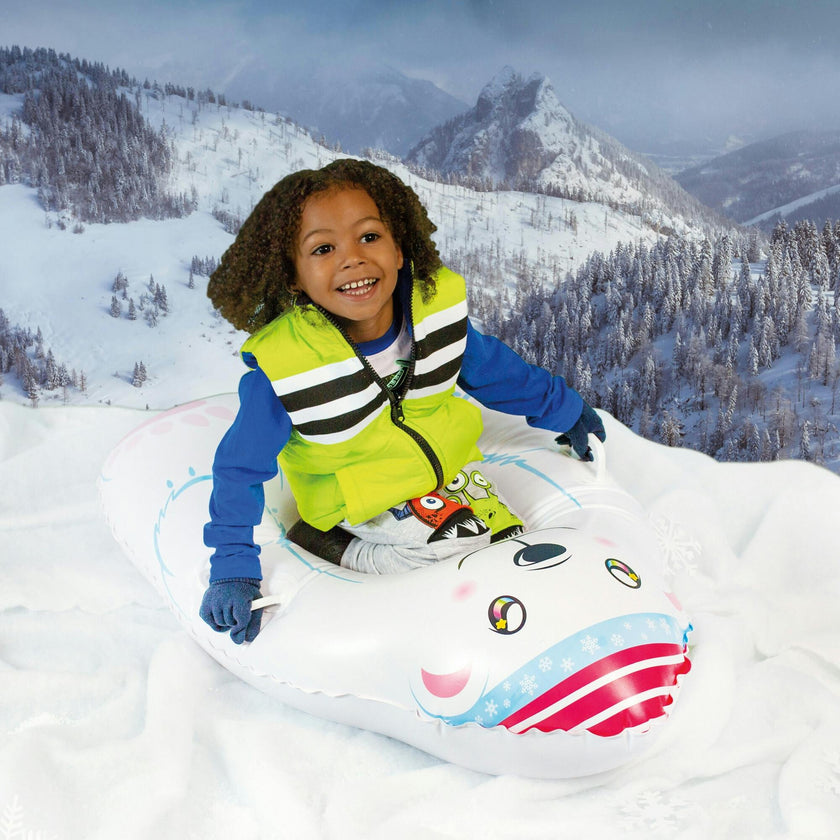 Polar Snow Sled