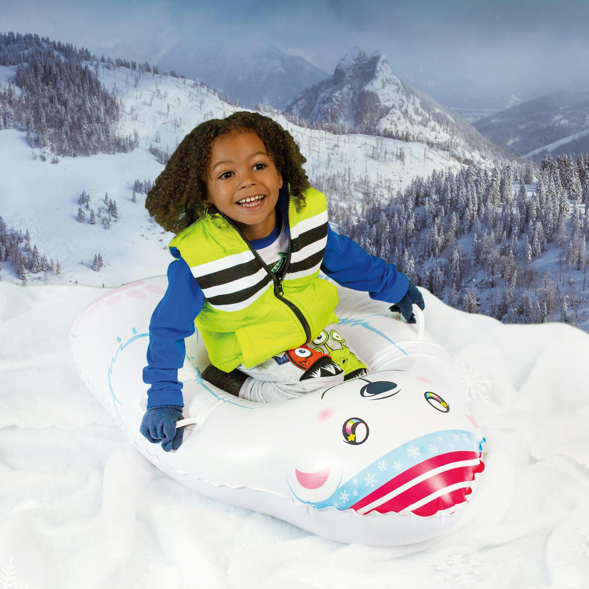 Polar Snow Sled