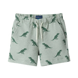 Boys Short Sleeve Cabana Set | Green Stripe Dino