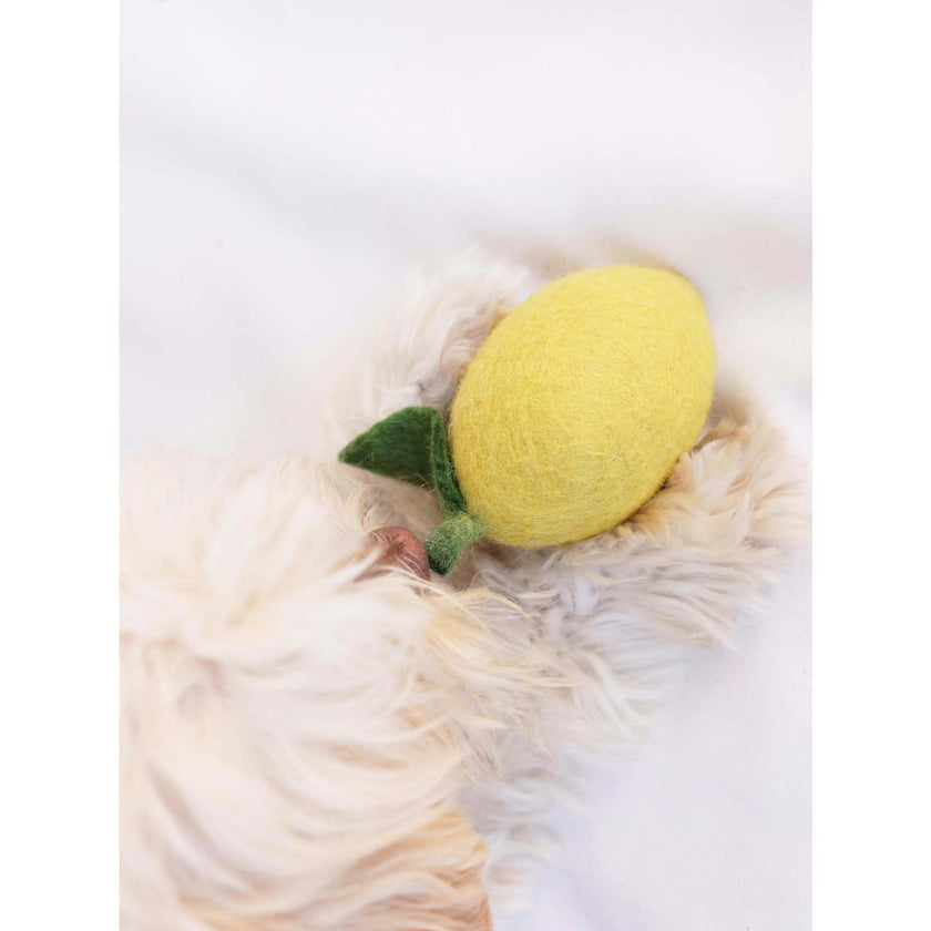 WOOL DOGGY LEMON