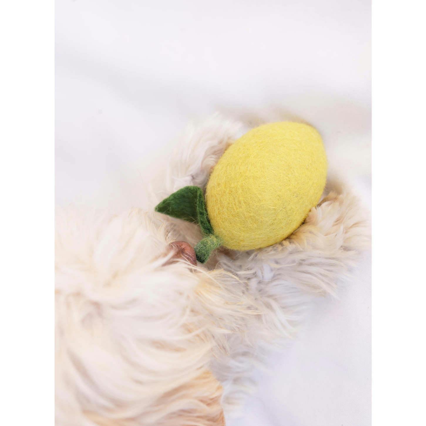WOOL DOGGY LEMON