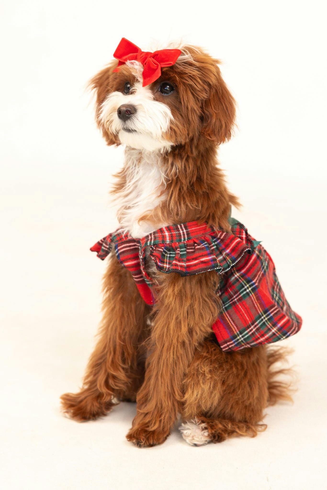 Red Plaid Dog Dress