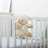 Cloud b  Sleep Sheep®