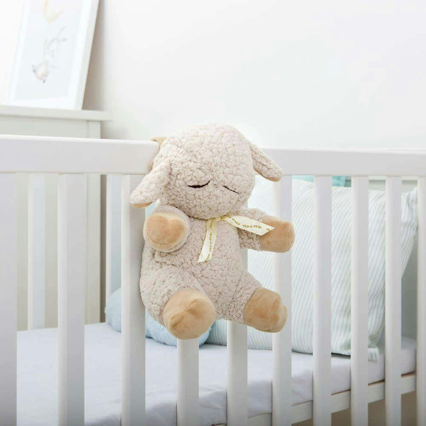 Cloud b  Sleep Sheep®