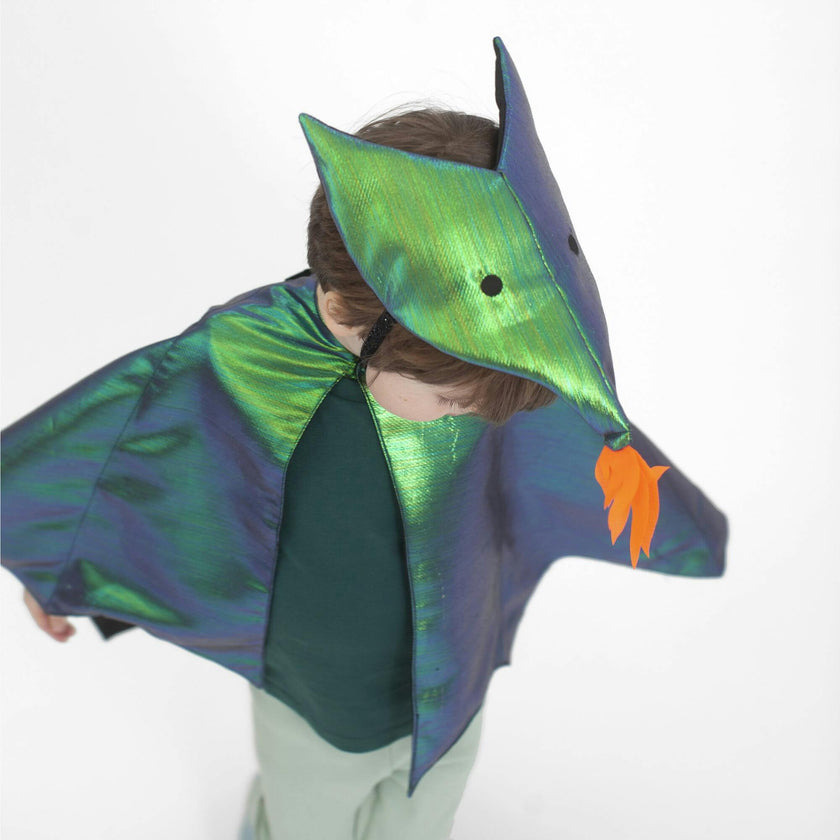 Dragon Costume