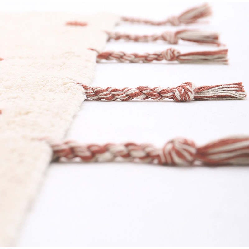 Numi Braided Tassel Rectangular Rug