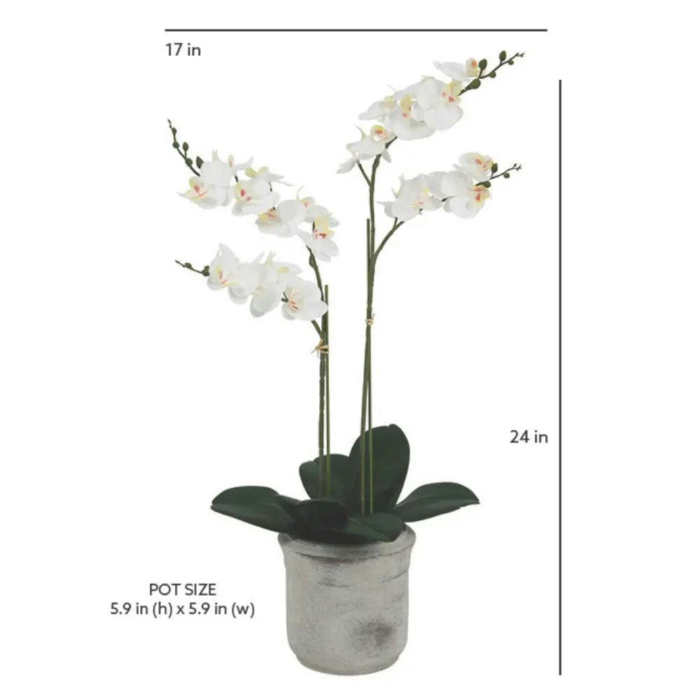 Artificial 2-Stem Phalaenopsis White Orchid