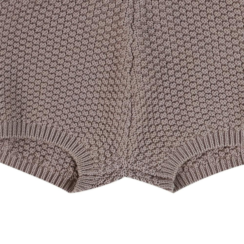 Seloen Shorts | Plum