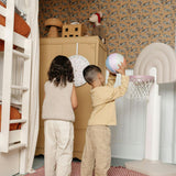 Basketball Hoop