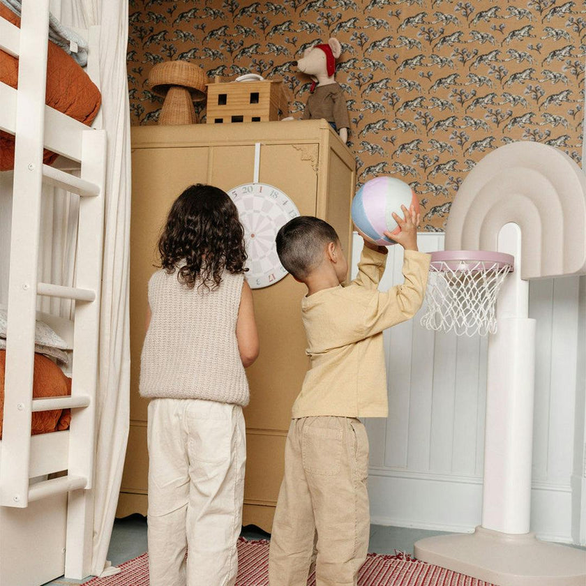 Basketball Hoop