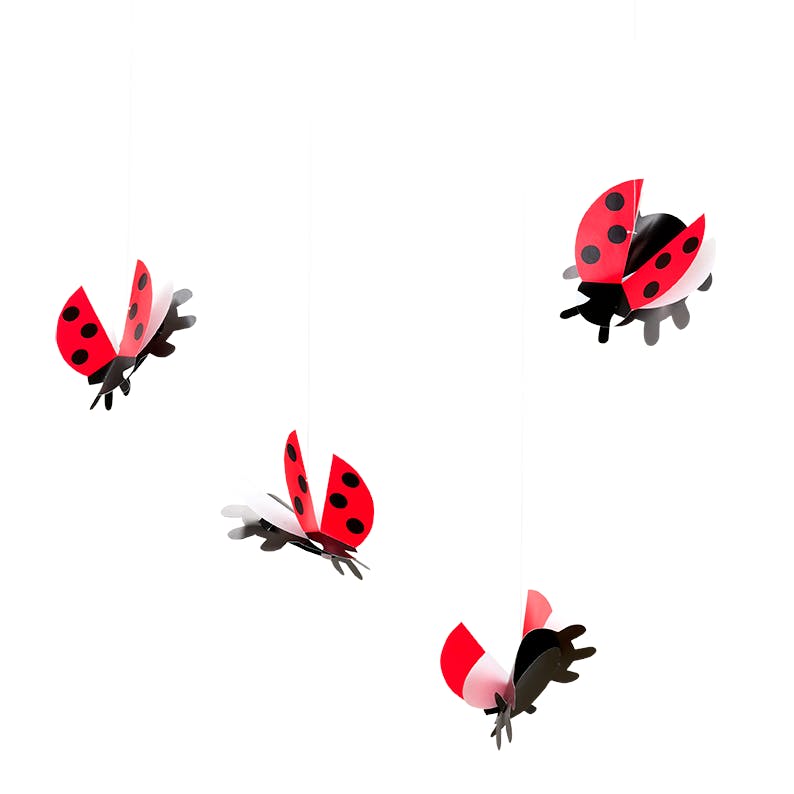 Lady Bird.