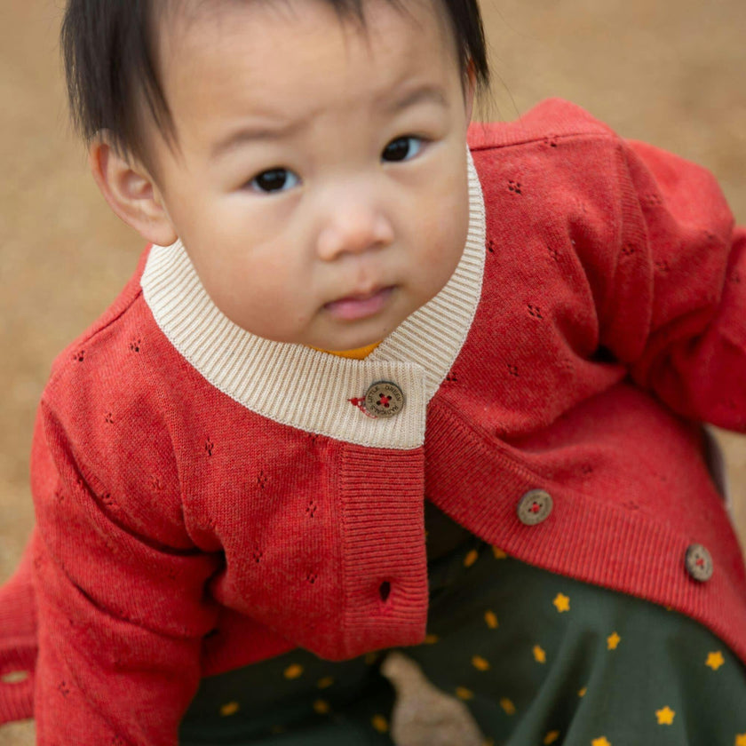 From One To Another Burnt Ochre Pointelle Knitted Cardigan, Red
