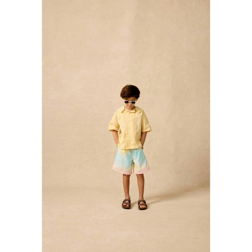 Board Shorts in Rainbow Sherbet