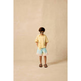 Board Shorts in Rainbow Sherbet