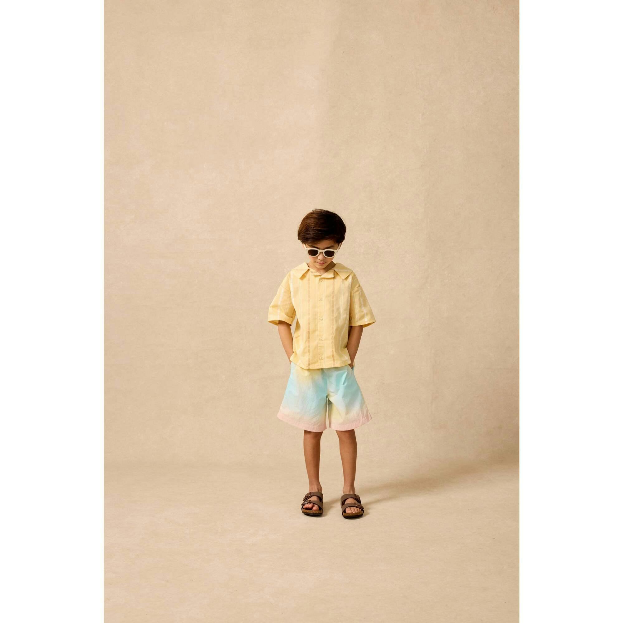 Board Shorts in Rainbow Sherbet