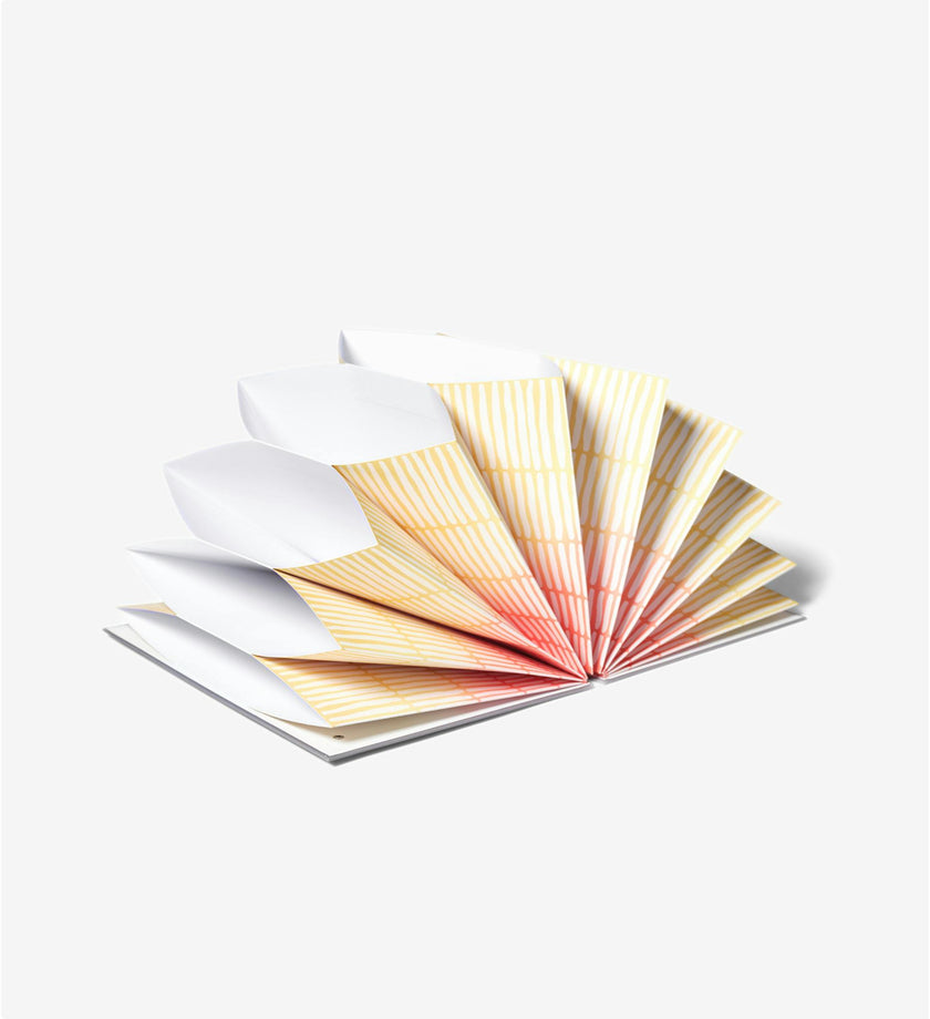 Document Organizer Fan Folio - SAMPLE SALE