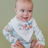 4 Pack Baby Bandana Bibs - Dino Explorer