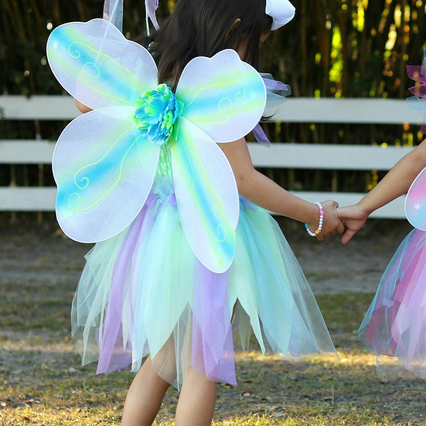 Butterfly Dress & Wings with Wand