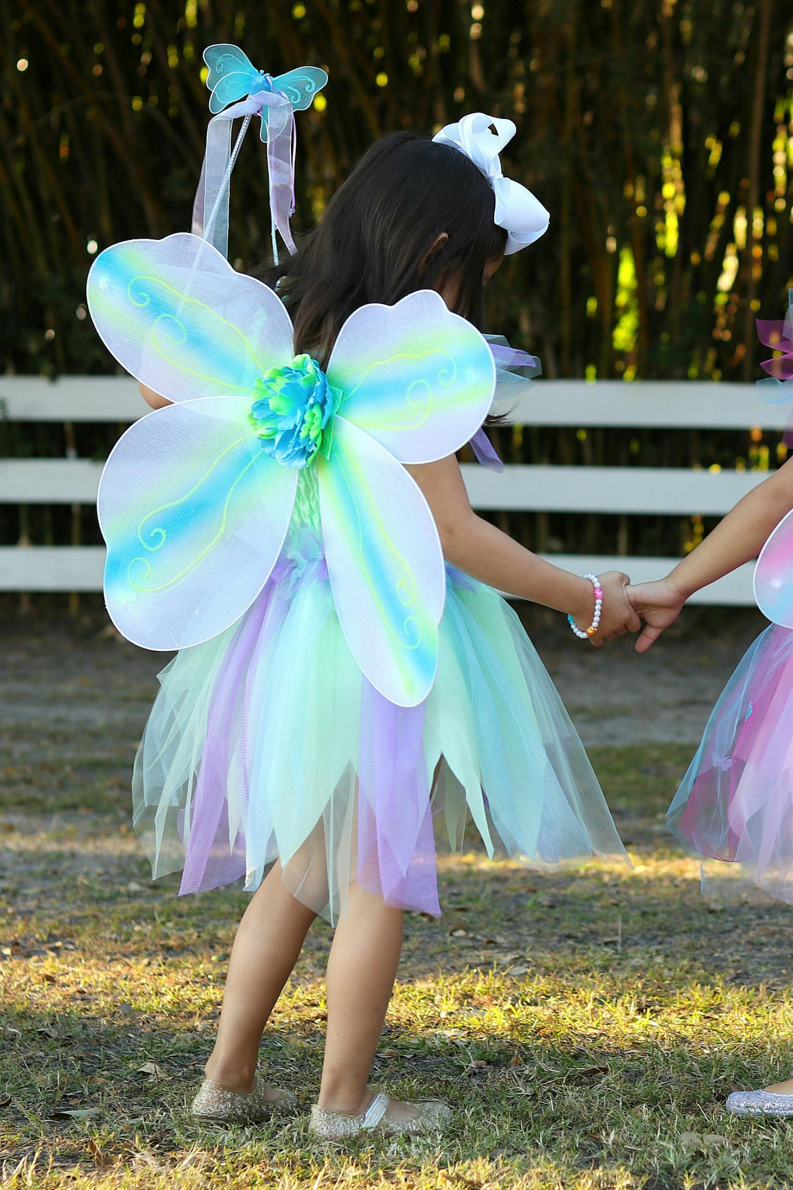 Butterfly Dress & Wings with Wand