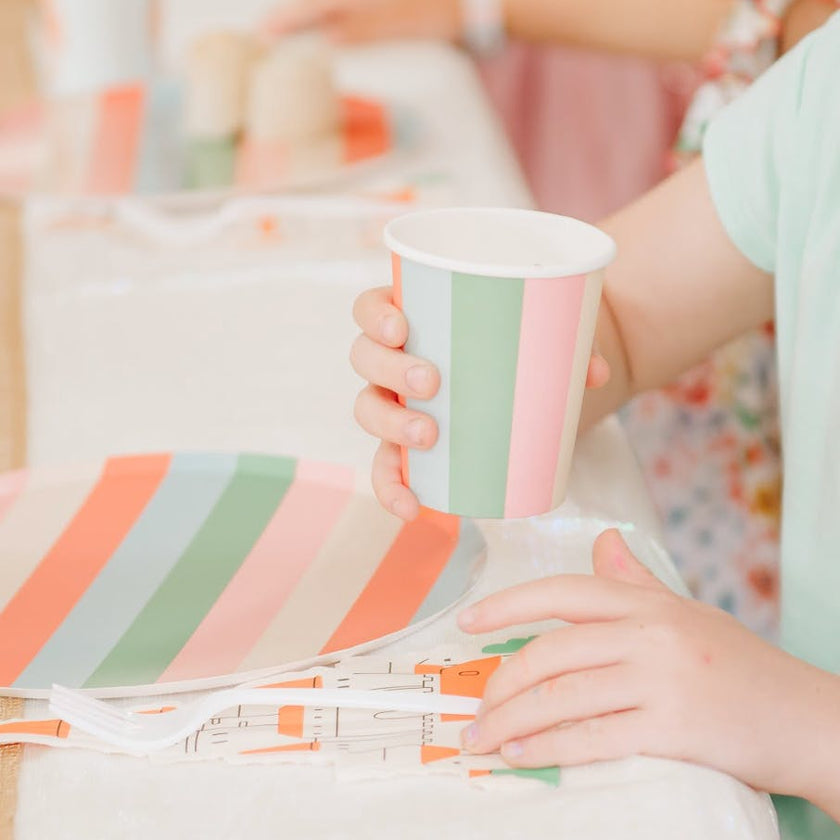 Striped Dinner Plates (x12)
