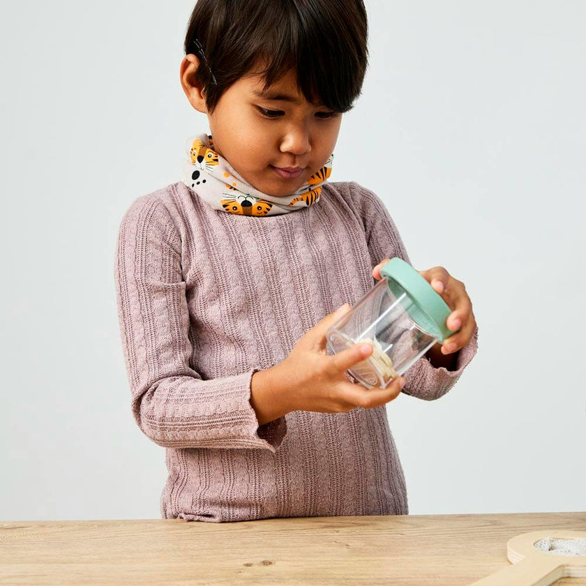 Insects Kit