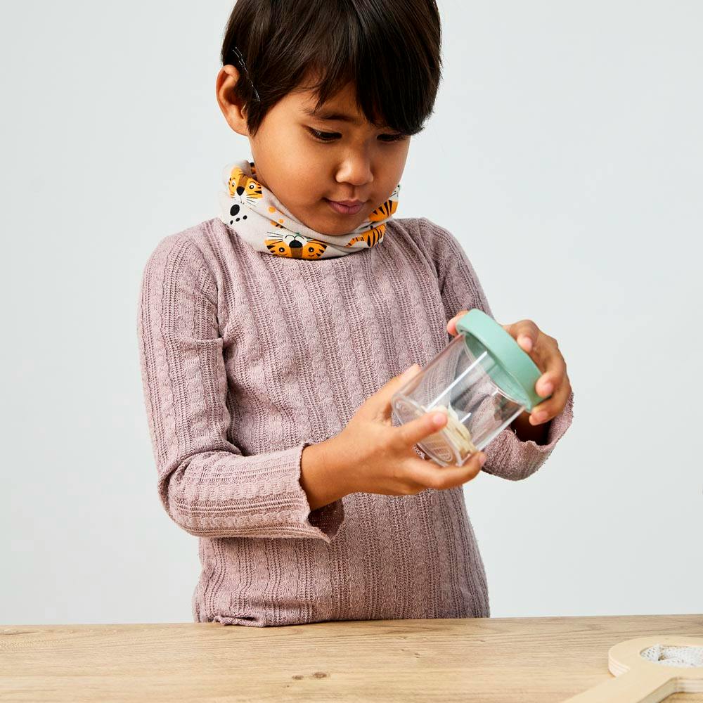 Insects Kit