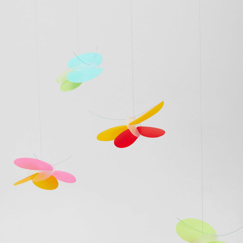 Butterflies.