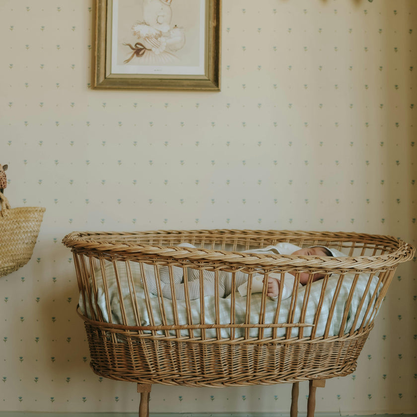 Picnic Gingham Crib Sheet - Green