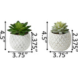 Pineapple Pot Faux Succulents
