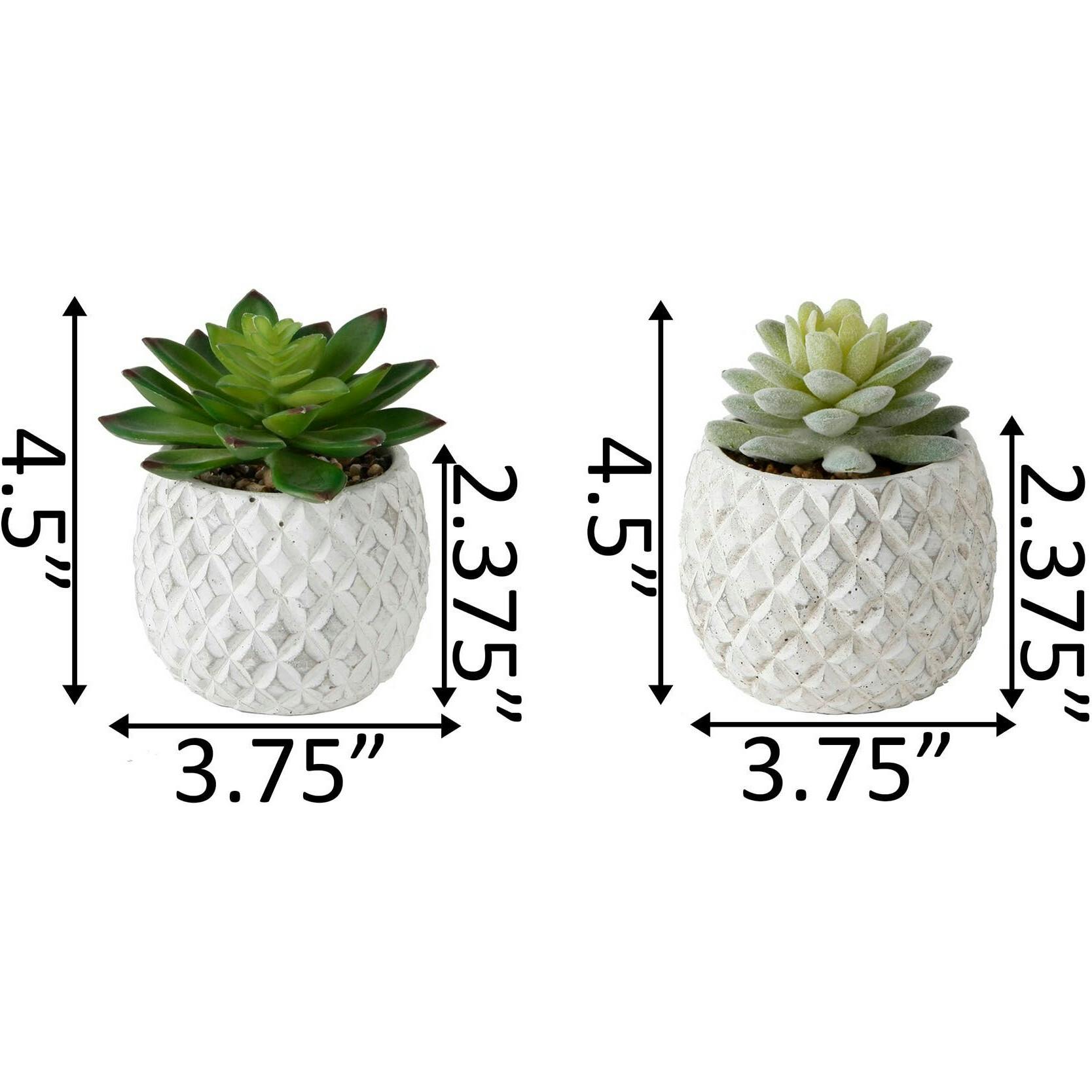 Pineapple Pot Faux Succulents