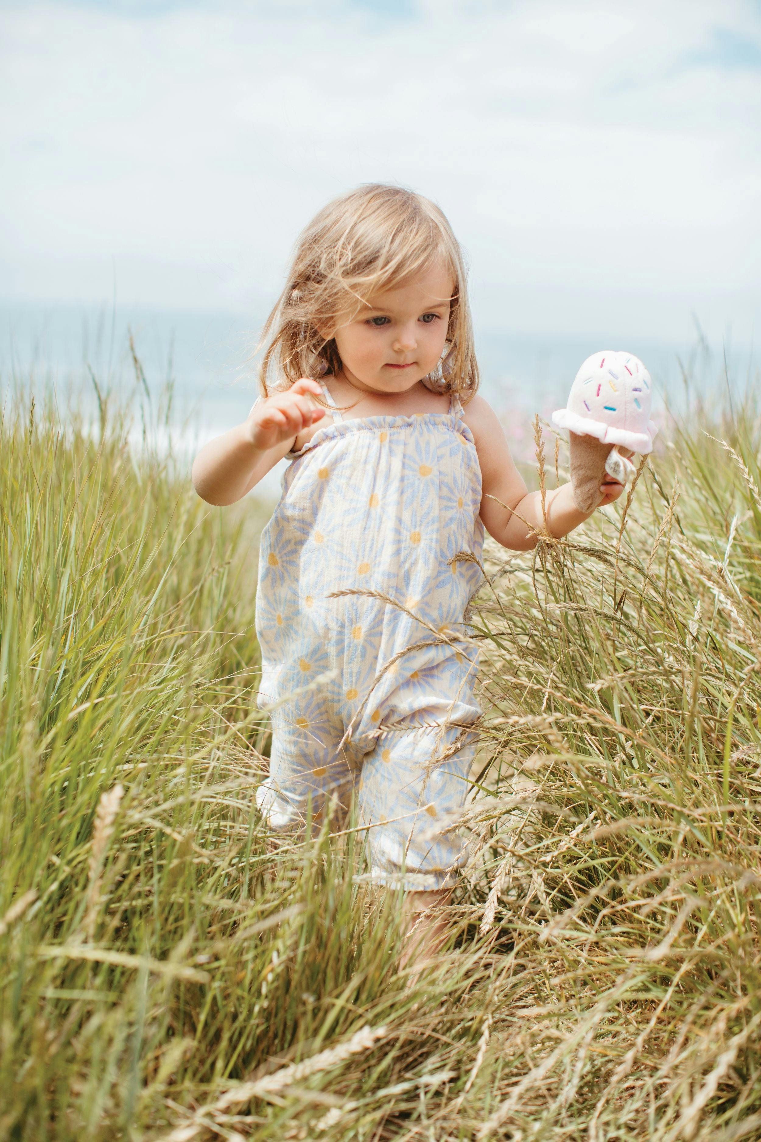 Ice Cream Rattle