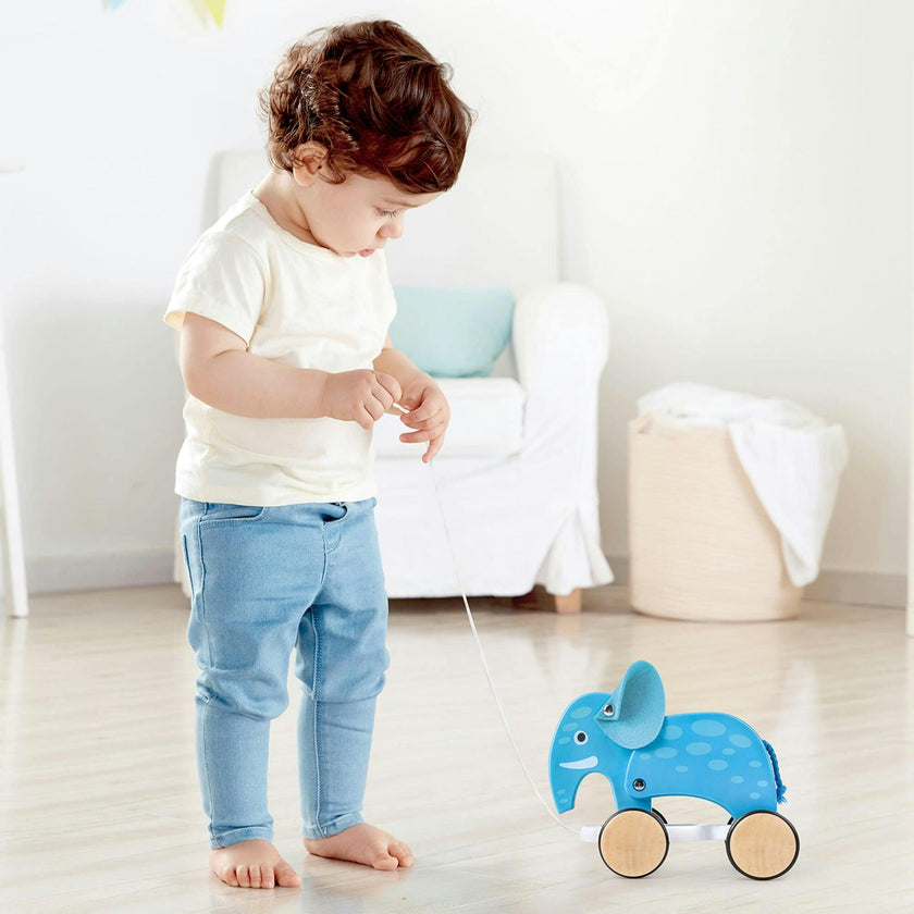 Pull Along - - Blue - Wooden Animal Toy