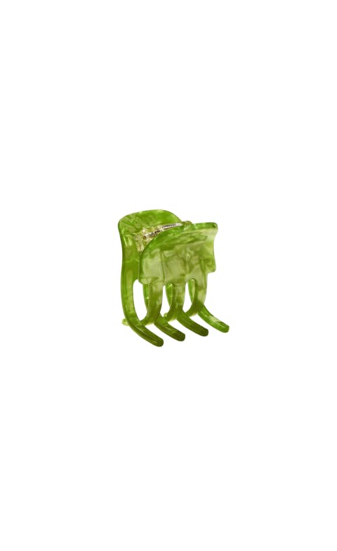 Mini Claw in Pistachio