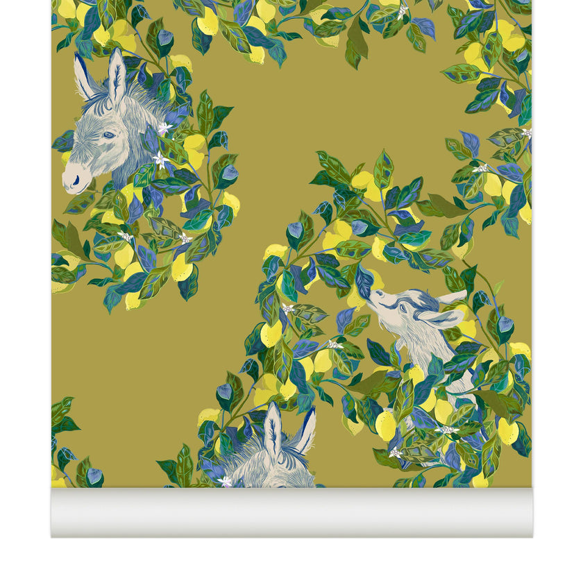 Wallpaper Citron'âne color Argan
