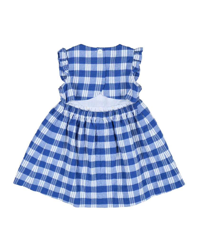 Plaid Seersucker Dress With Flowers