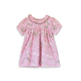 Toddler Emily dress with Lace trim | Pink and Green Fern