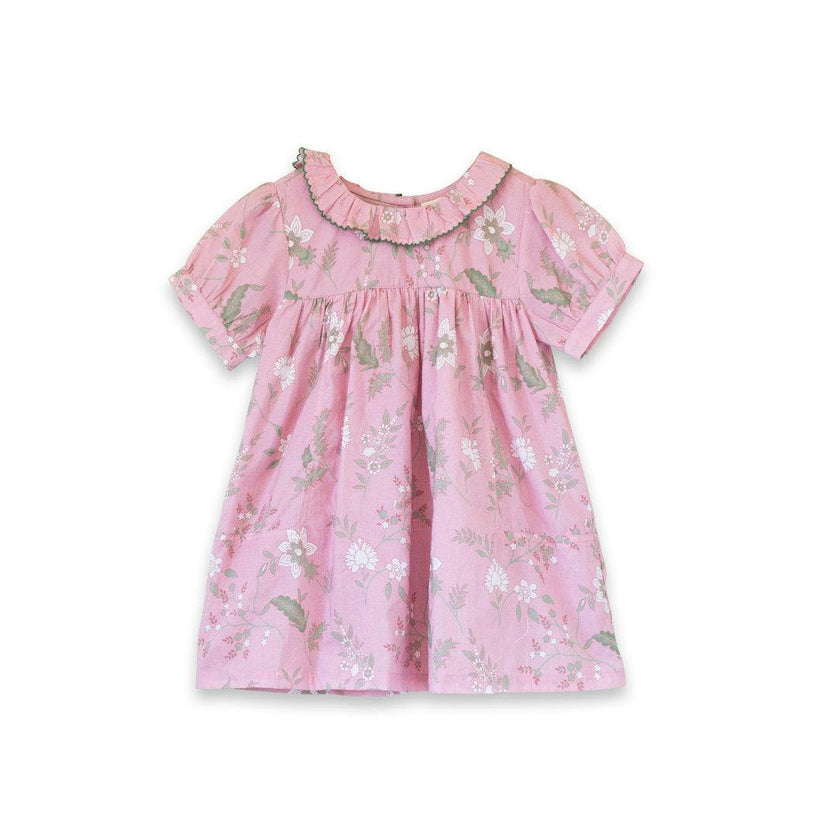Toddler Emily dress with Lace trim | Pink and Green Fern