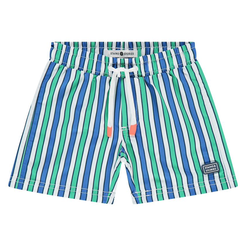 Multi Striped Swim Shorts