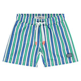 Multi Striped Swim Shorts