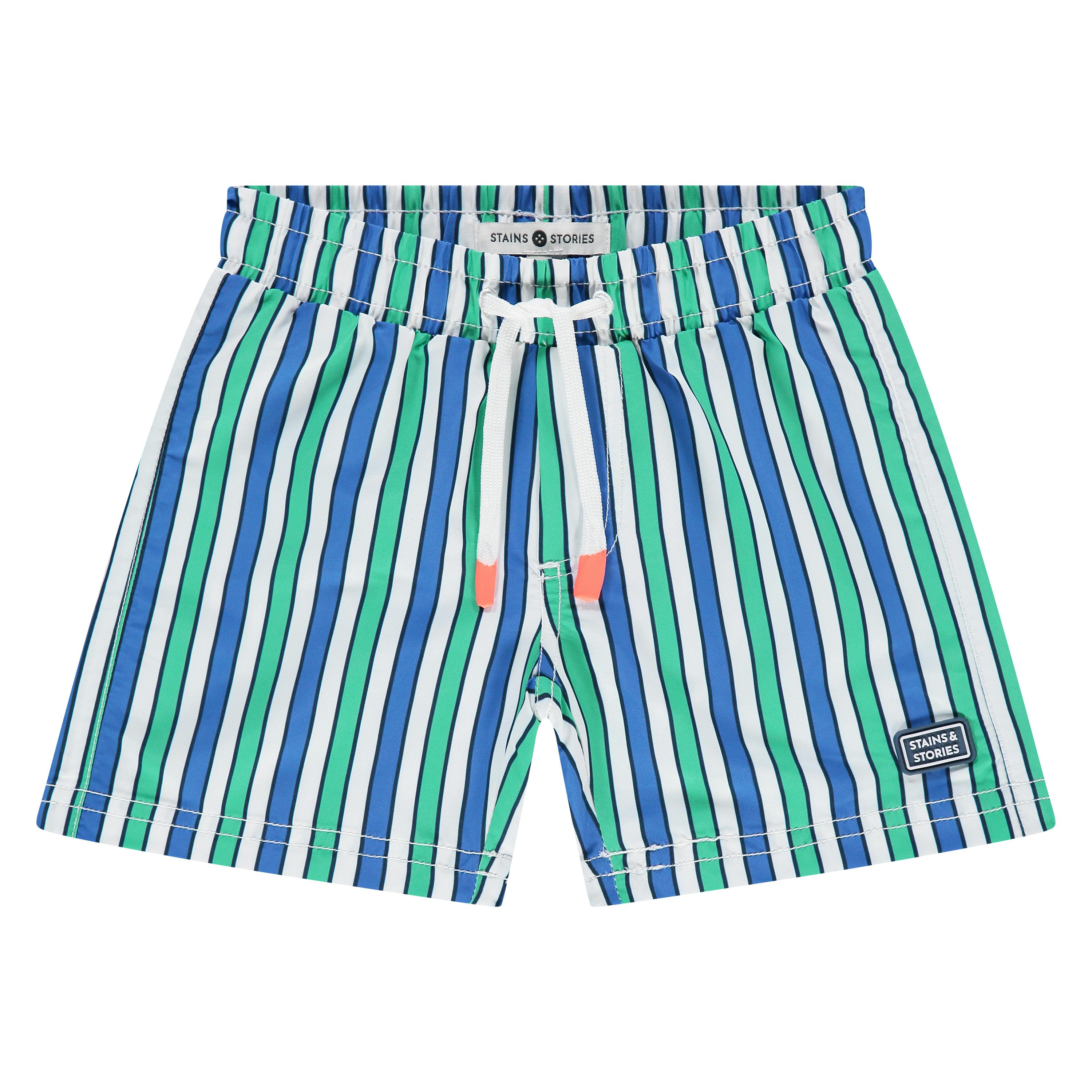 Multi Striped Swim Shorts