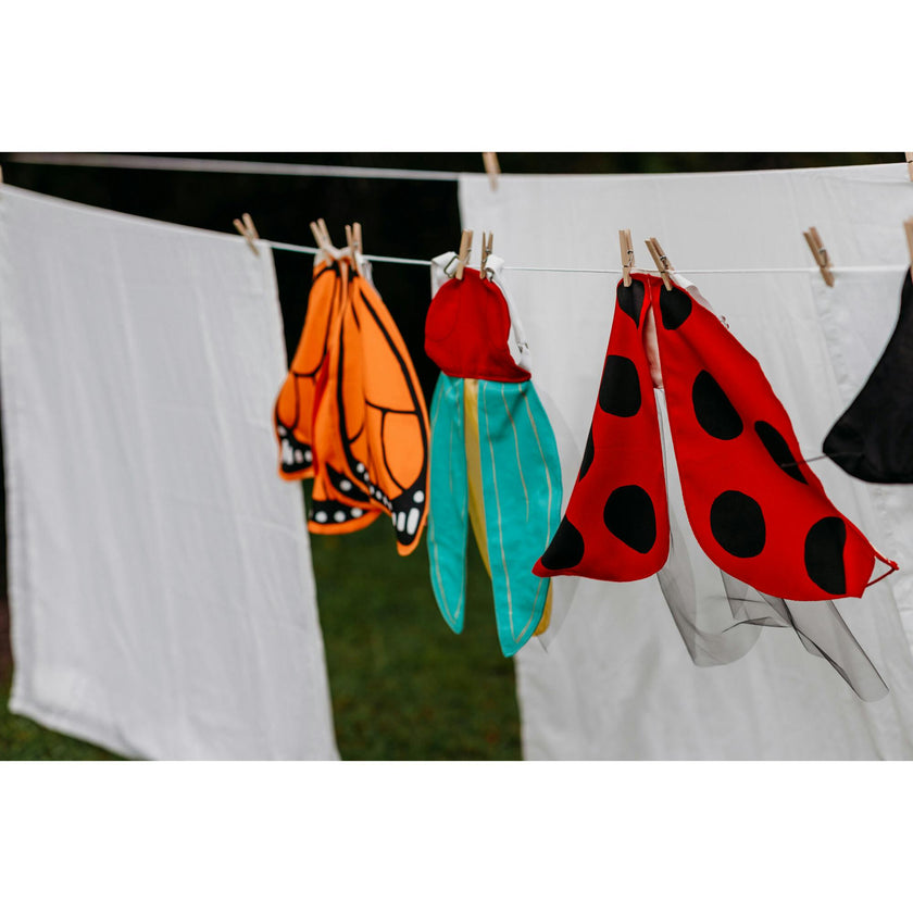 Costume Wings