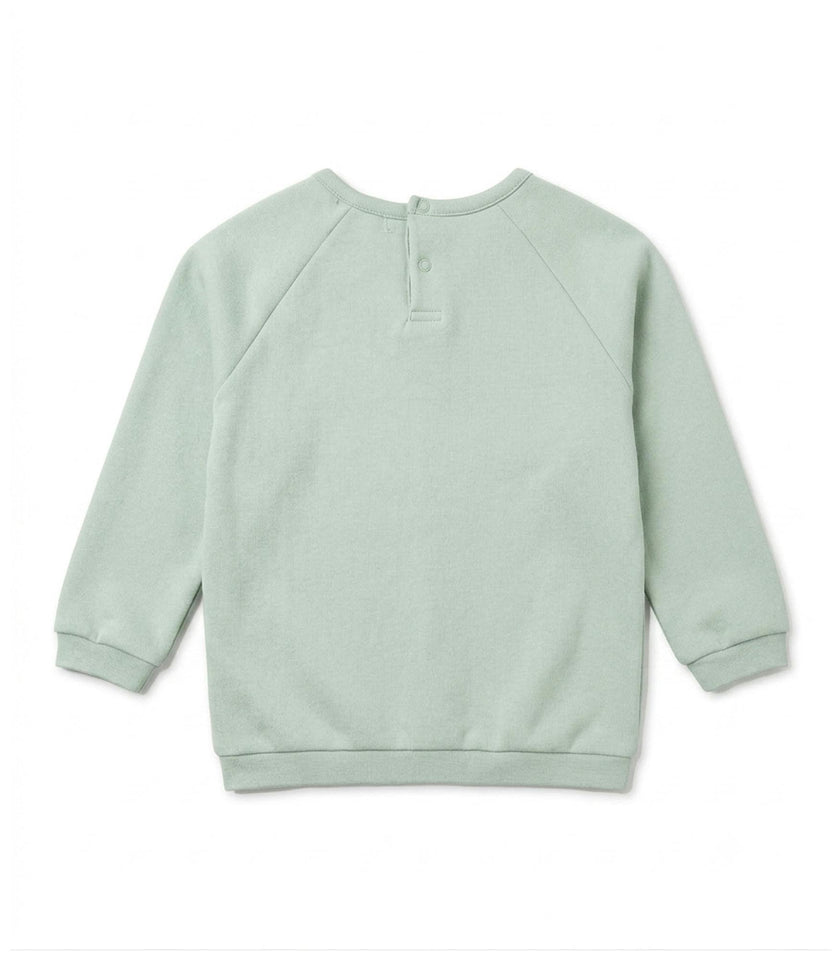 Douglas Baby Boy Sweater, Light Green
